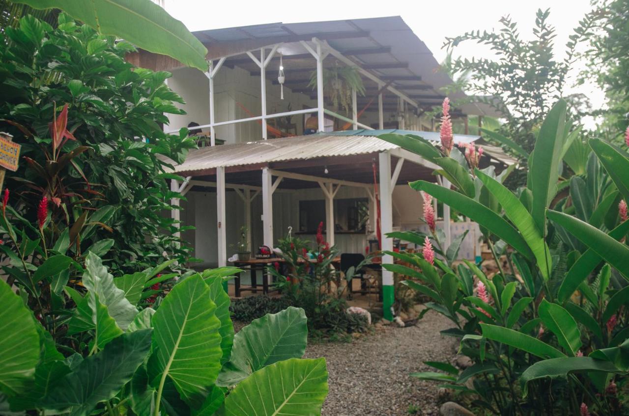 Casa Bohoe Puerto Viejo de Talamanca Bagian luar foto