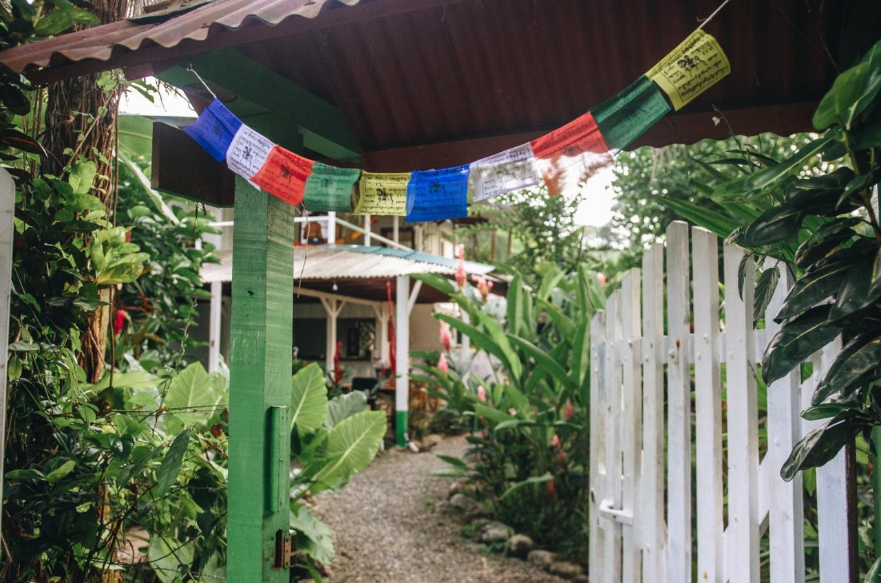 Casa Bohoe Puerto Viejo de Talamanca Bagian luar foto